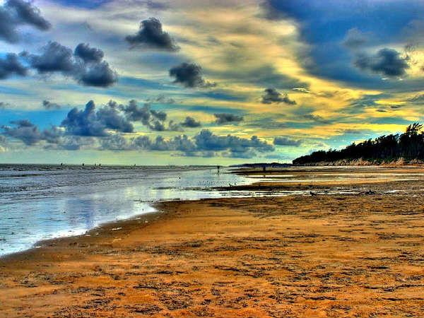 Explore a Virgin Beach