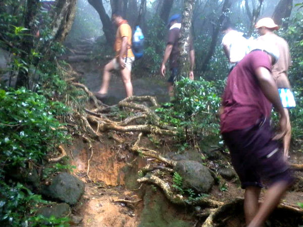 Agasthyarkoodam Peak