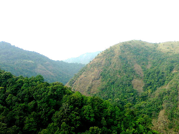 Silent Valley National Park