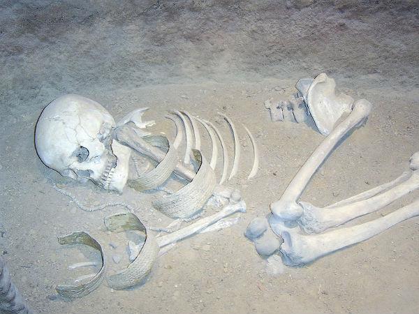 Do skeletons scare you?