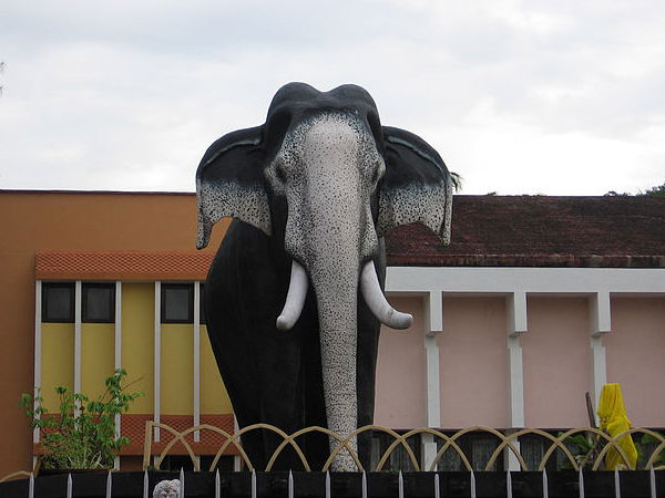 A Palace Where Only Elephants Stay A Palace Where Only Elephants Stay
