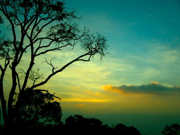 Yercaud, the Jewel of South