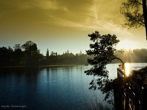 Yercaud, the Jewel of South