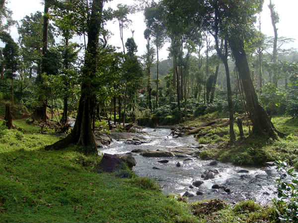 Coorg