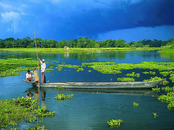 Majuli