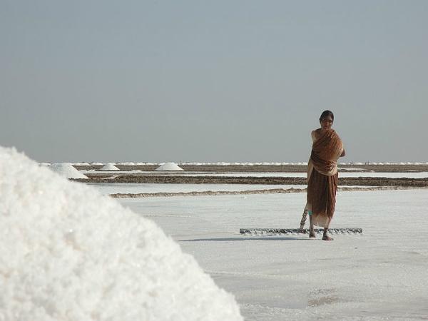 Salt Desert in Kutch