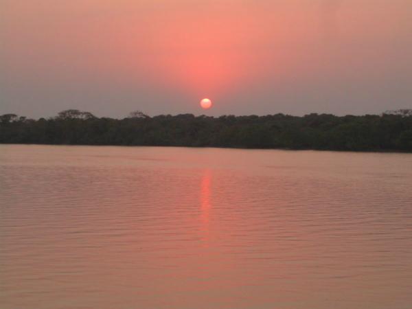 Bhitarkanika Wetlands in Odisha