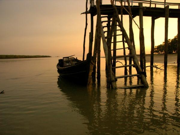 The Ganges-Brahmaputra Delta in West Bengal