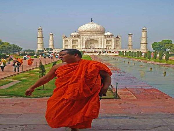 Saffron draped