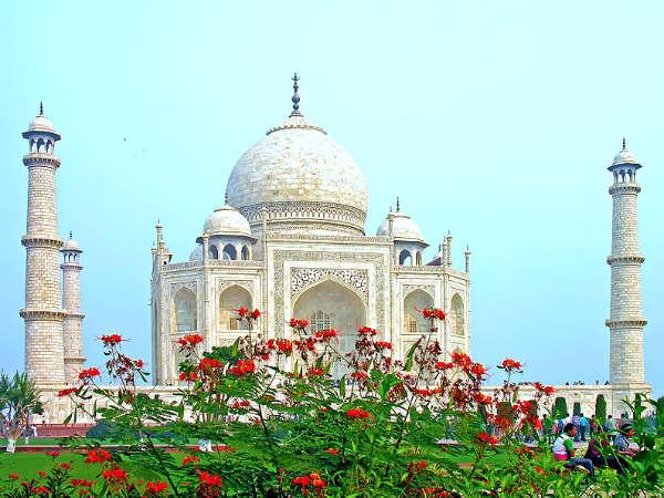 The Kiss of Flowers!