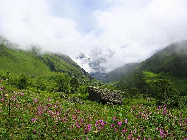 Nanda Devi and Valley of Flowers