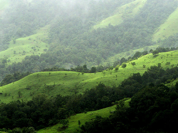 A Treat of Trek Routes at Kudremukh!