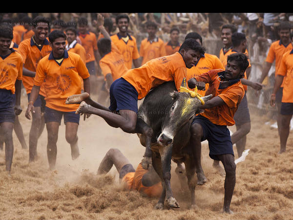 Tamil Nadu