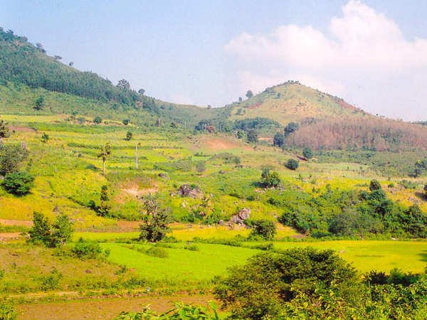 Araku Valley