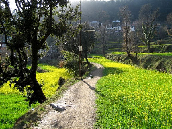Dharamshala, Himachal Pradesh