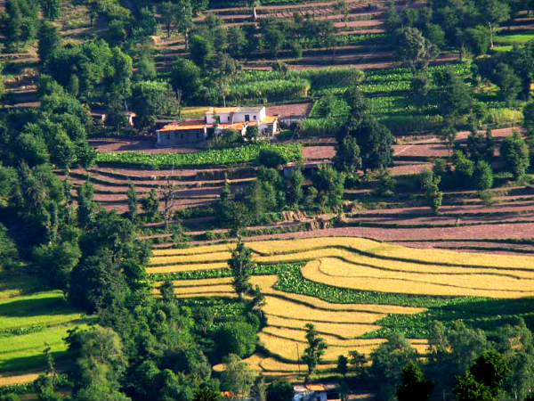 Best Places to Visit in Kasauli