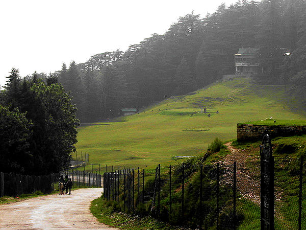 Naldehra – The Golfer's Point