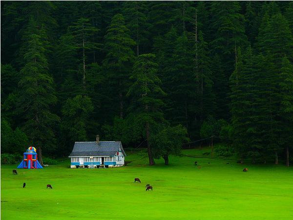 Sightseeing and Activities in Khajjar