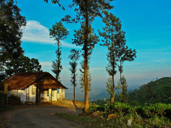 Explore Wayanad This Summer!