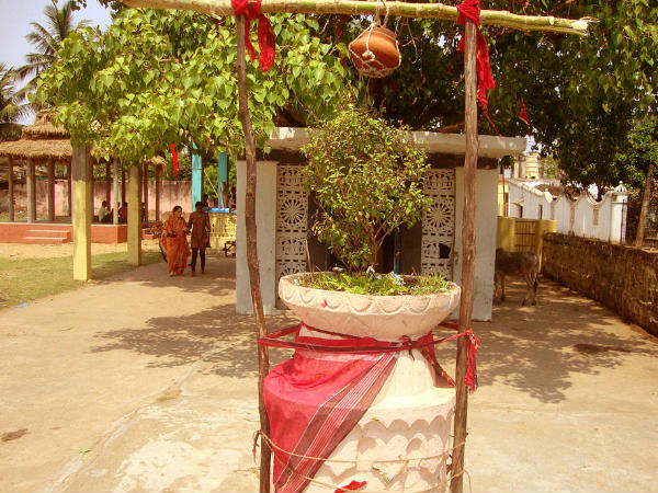 Maha Vishuva Sankranti in Odisha