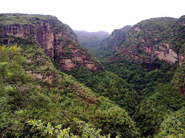 4. The Hills of Pachmarhi
