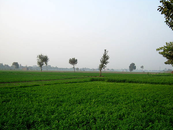 Reaching Sonipat