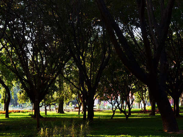 Cubbon Park
