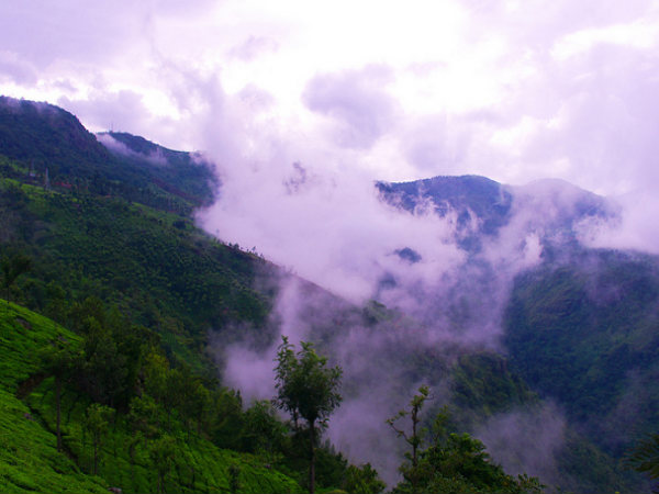 Lamb's Rock and Laws Falls