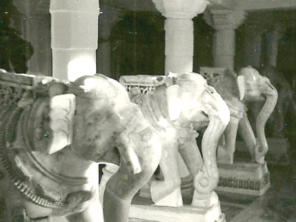 Dilwara Jain Temples