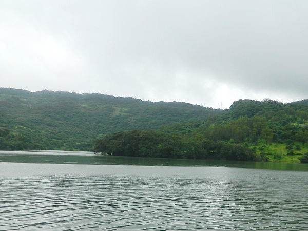 Bushy Dam