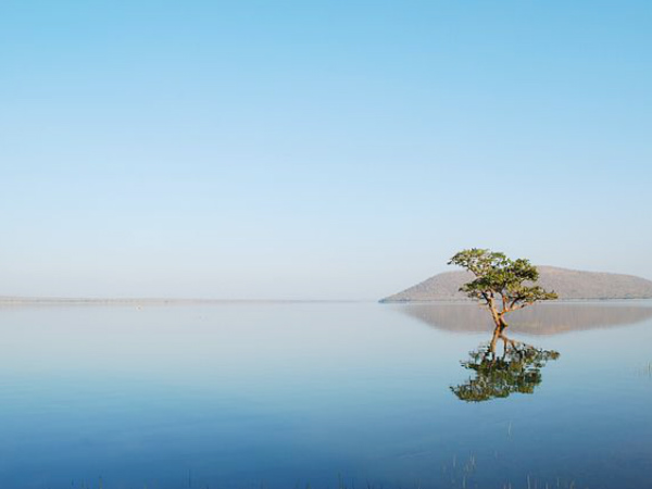 Pakhal Lake