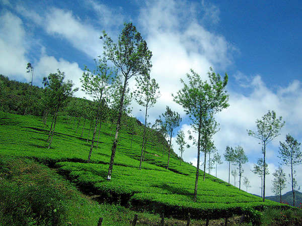 Munnar