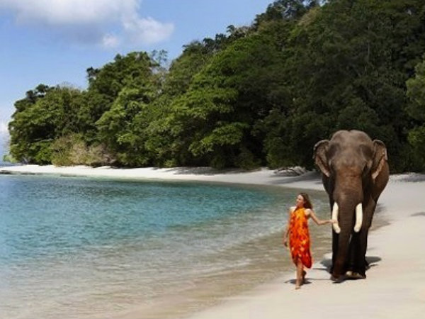 Havelock Island