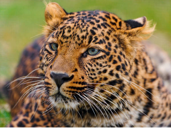 Aralam Wildlife Sanctuary