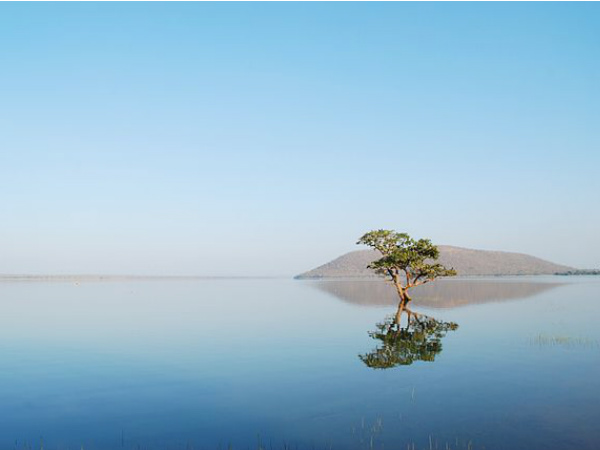 Pakhal Lake, Andhra Pradesh