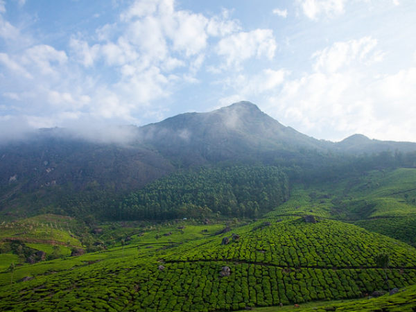 Munnar, Kerala