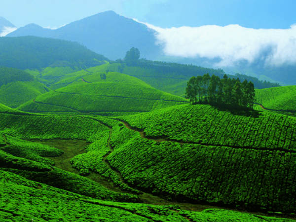 Devikulam, Kerala