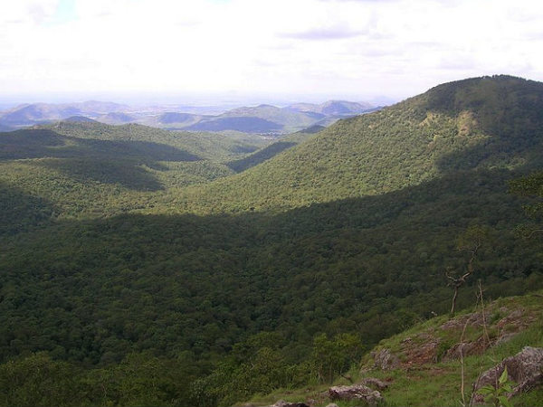 B R Hills, Karnataka