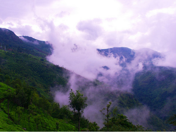 Coonoor, Tamil Nadu