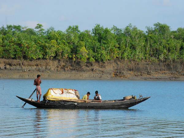 Sunderbans in Pictures