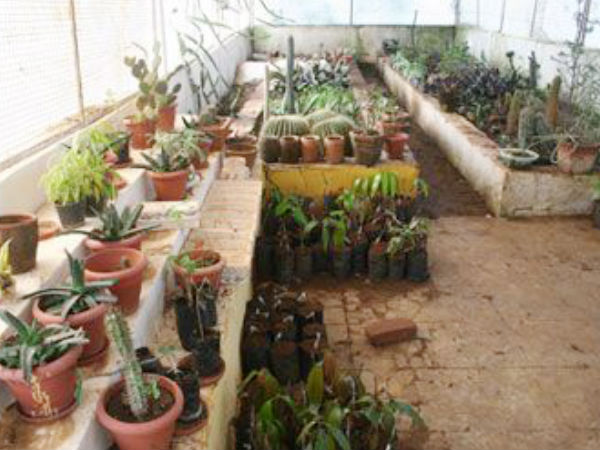 Rose garden, Lakeview and Step Garden