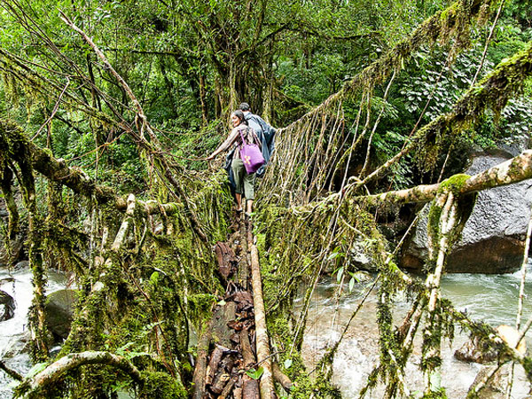 Experience Monsoon Magic in Meghalaya, The Abode of Clouds! Experience Monsoon Magic in Meghalaya, The Abode of Clouds!