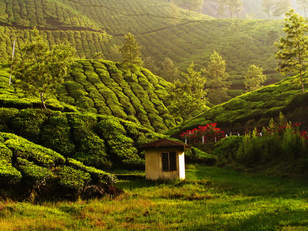 Munnar