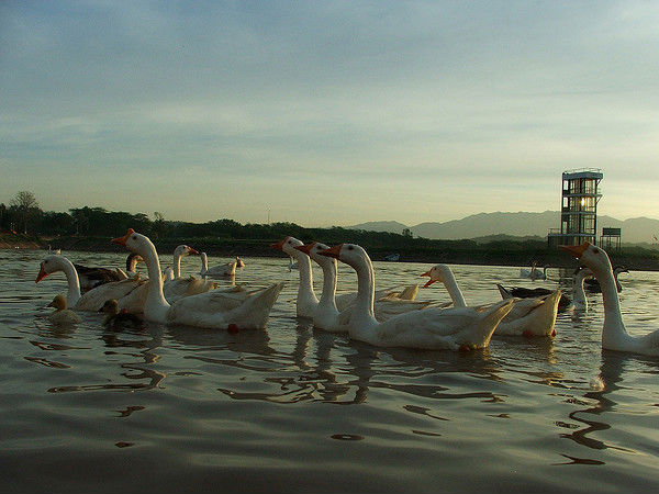 Chandigarh