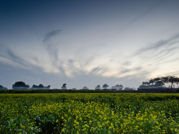 Punjab