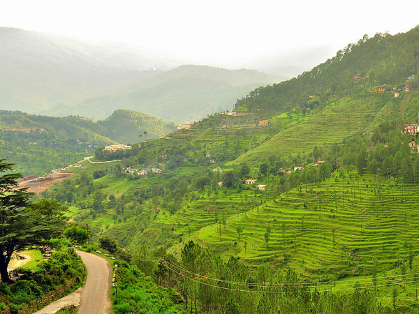 Almora