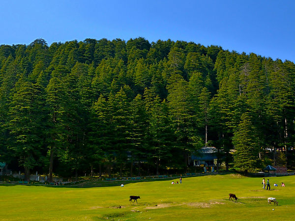 Dalhousie