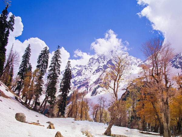 Jammu and Kashmir