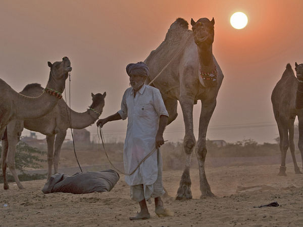 Rajasthan