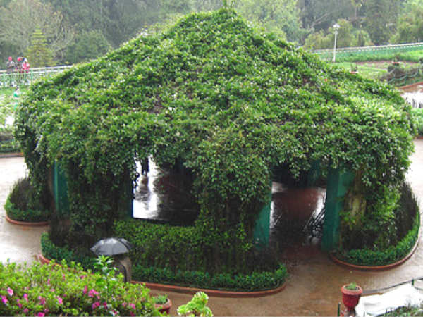 Ooty